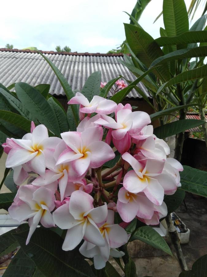 Gatri Hut Otel Lembongan Dış mekan fotoğraf